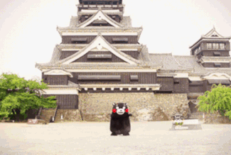 微信图片_20220715143936.gif