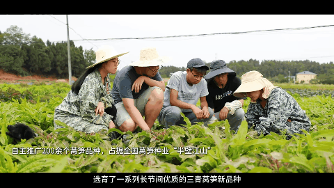 tutieshi_480x270_5s.gif tutieshi_480x270_5s.gif