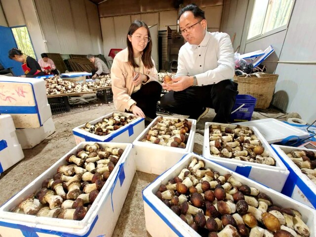 微信图片_20250409162911_副本.jpg