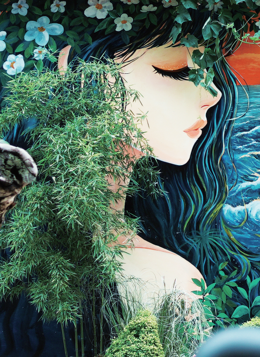 从“灰墙斑驳”到“街巷生花” (图2)