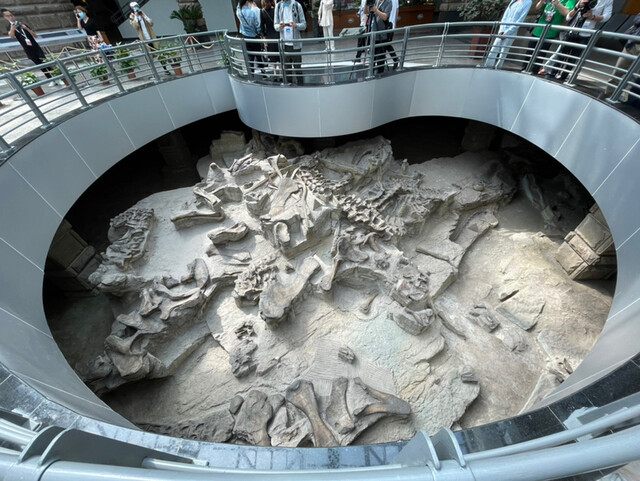 DDBC4DD3-EECE-4EBA-B0BC-7939EC07B59C