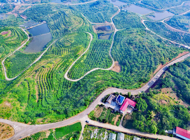 17117eb870880d5257bca052be48c0a9 拷贝.jpg