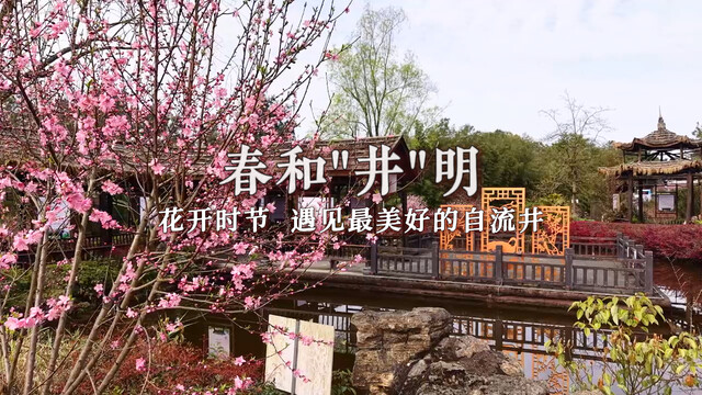 67dd304039fa4.jpg