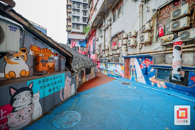 猫猫巷 记者 宋姿熠 摄.jpg