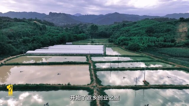 正片.mp4_20260810_223137.934.jpg