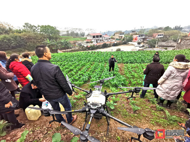 下载图片 (74).jpg