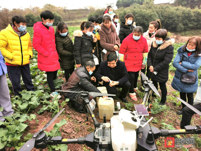 下载图片 (72).jpg