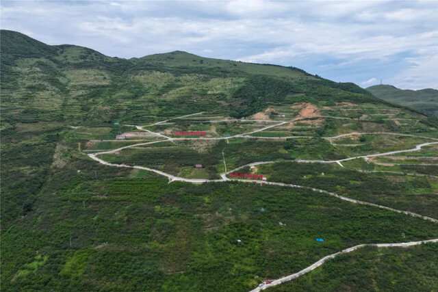 DJI_20250813165214_0037_D.JPG