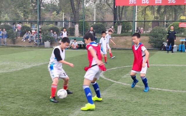 微信图片_20241106094232.jpg