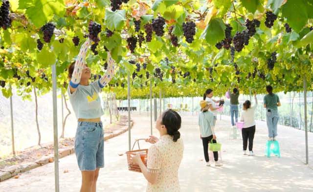 微信图片_20220720092733.png