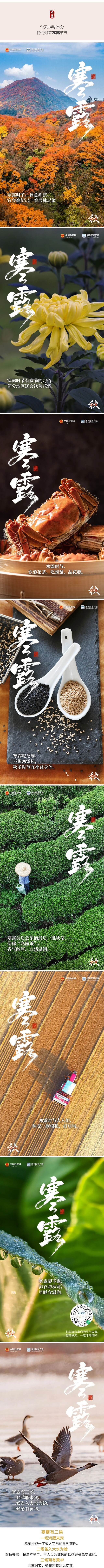 寒露.jpg