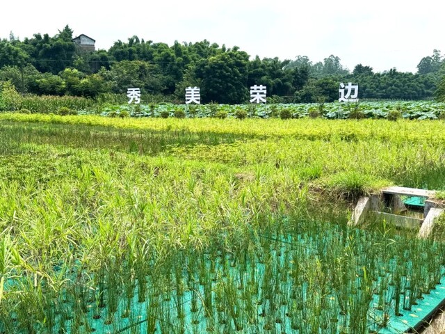 微信图片_20240813142623.jpg