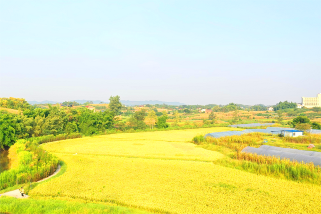DJI_0056(1)(1).png