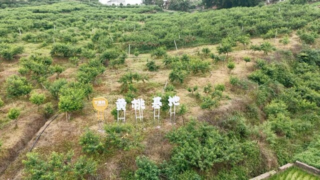 DJI_20260520112022_0377_D.MP4_20260616_144104.123.jpg