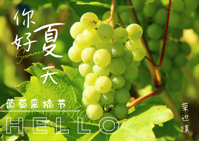 6685fd70eb18d.png