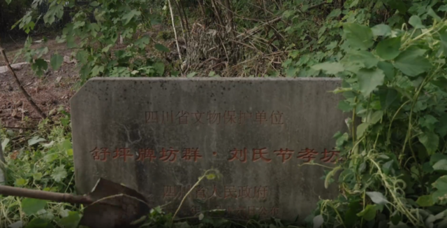 微信图片_20250214103432.png