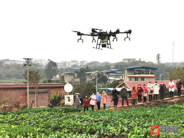 下载图片 (71).jpg