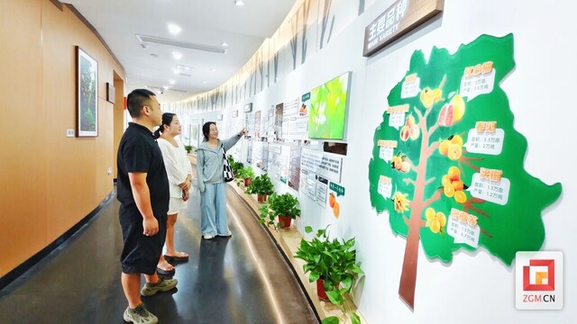 6、花园村新落成的“橘创空间”展览馆，吸引了众多游客前来参观打卡。（自贡融媒记者 芶思摄）.jpg