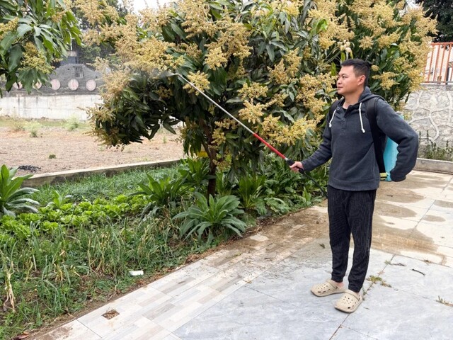 插入的图片