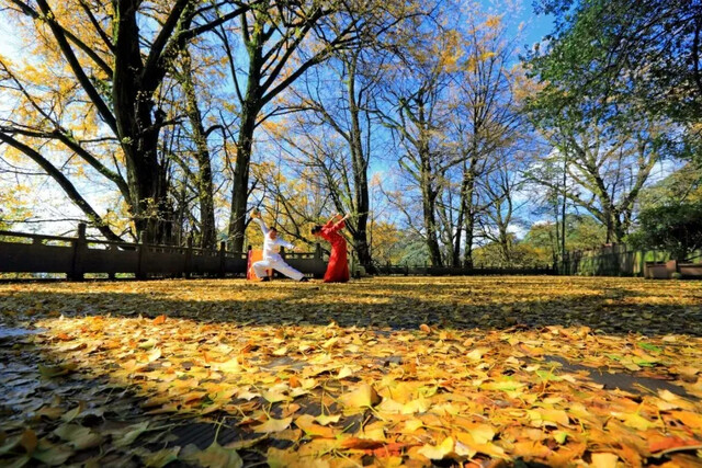 茶技 文旅供图.jpg