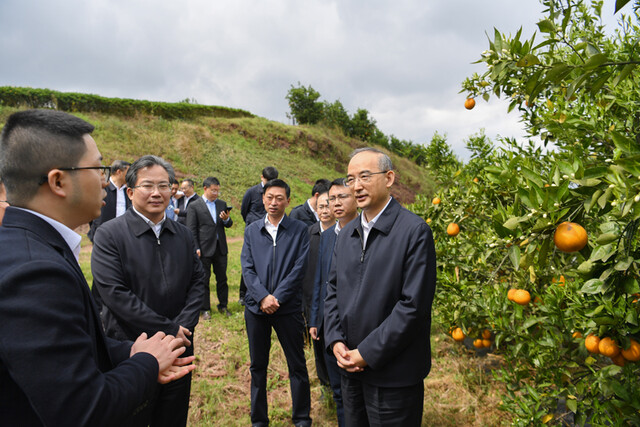 黄强在宜宾自贡调研时强调 
汲取红色力量 奋力攻坚克难 
以钉钉子精神推动中央和省委决策部署落地见效「相关图片」