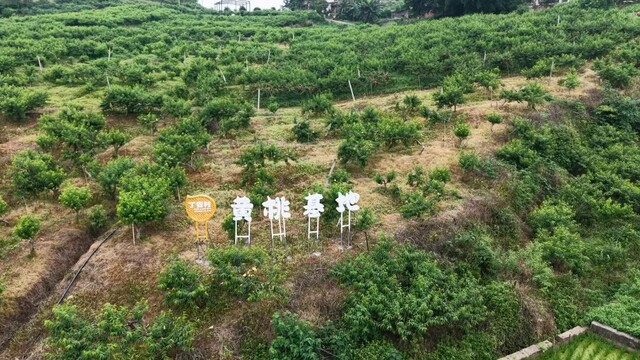 DJI_20260520112022_0377_D.MP4_20260616_144104.123.jpg