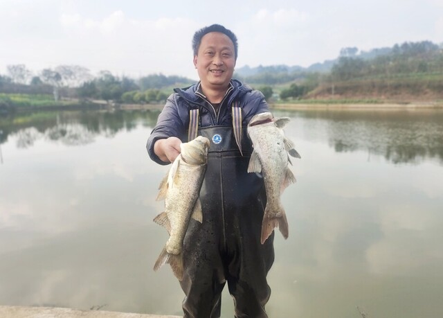 2_看图王.jpg