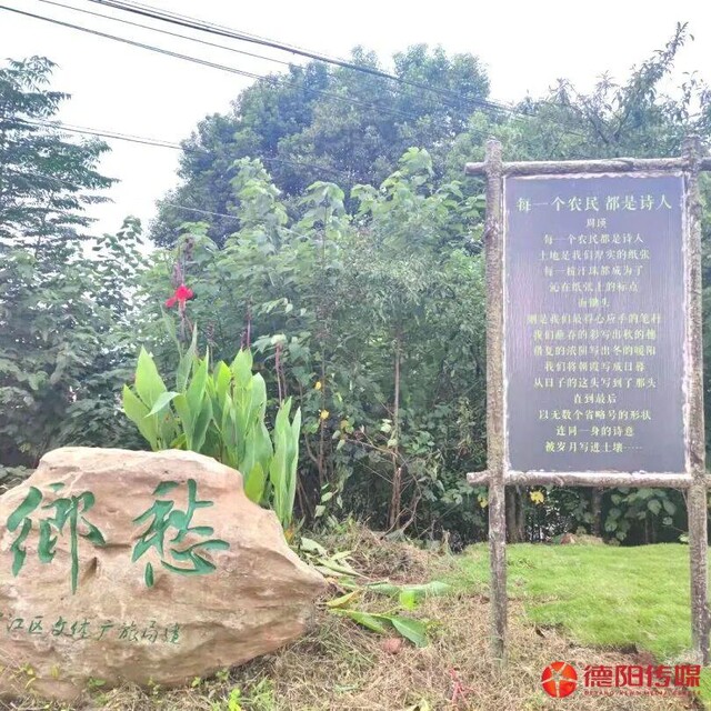 星光村诗意浓浓。  受访者供图.jpg